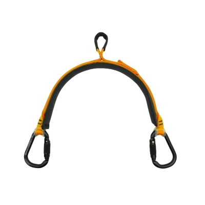 Posture Regulator