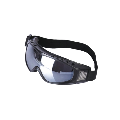 Ski goggles